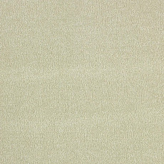 Ковролин AW Sentiment 20 фото 1 | FLOORDEALER